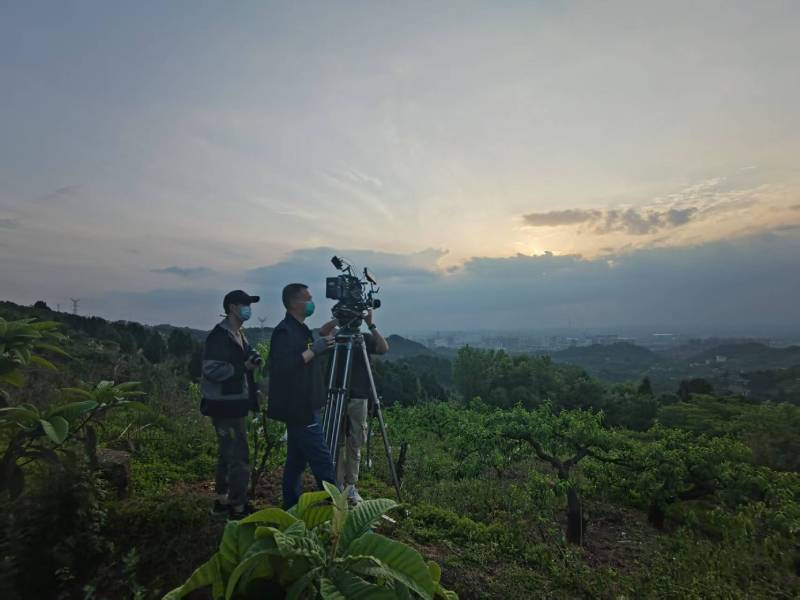 创意破圈！密山市电商产品宣传视频用故事化叙事引爆流量